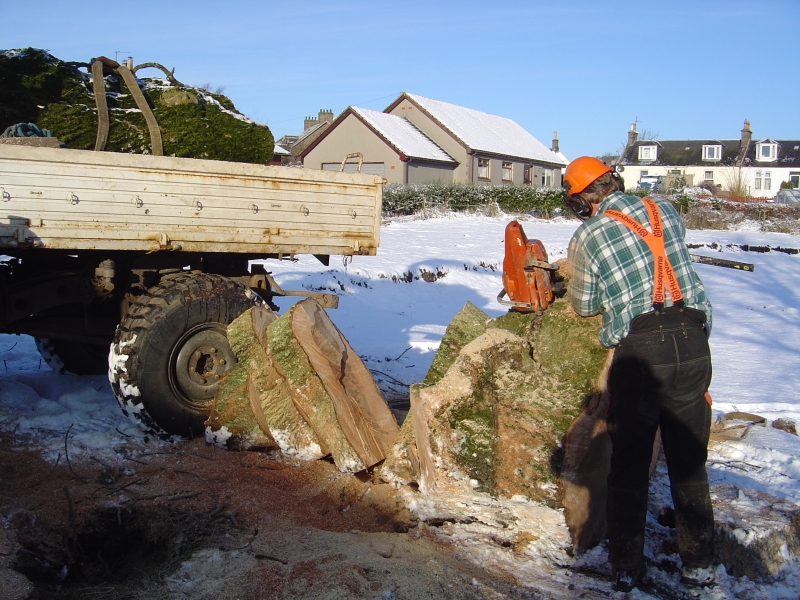 20th February 2010 022